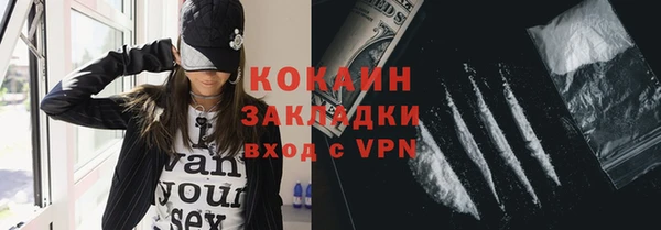 индика Заволжск