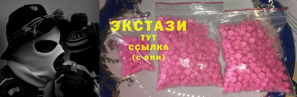 индика Заволжск