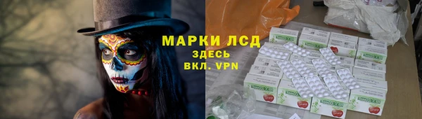 индика Заволжск