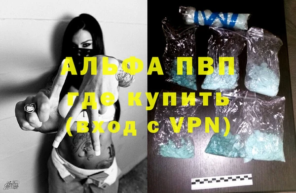 индика Заволжск