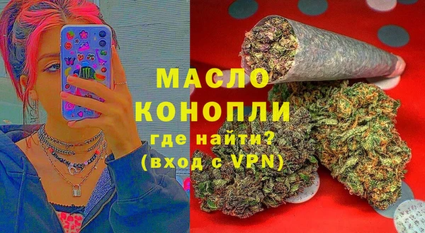 индика Заволжск