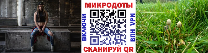 Галлюциногенные грибы MAGIC MUSHROOMS  Купить закладки  Кохма 